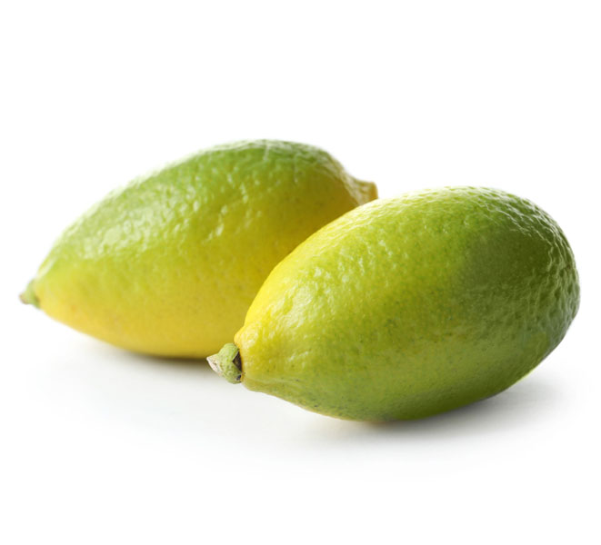 نهال لیمو ترش لایم کوات